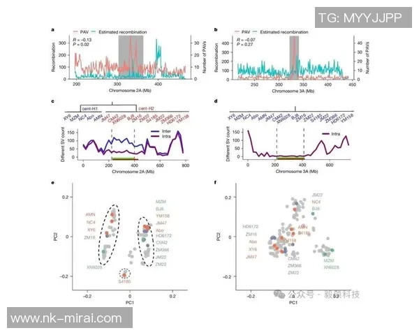 数据分析揭示LNG市场节奏变化及其影响因素探讨